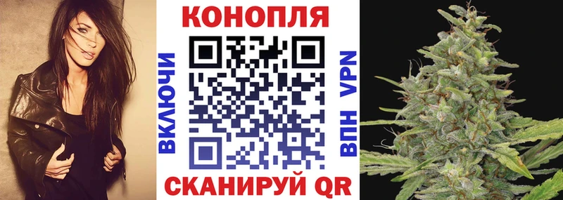 Шишки марихуана планчик  Купить где  Харабали 